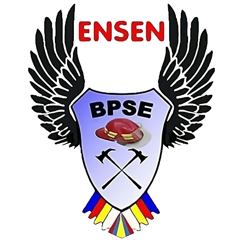 Logo de la escuela ensen